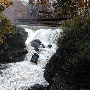 Meet your Posher, Mary jo